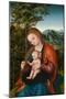 Madonna and Child in a Landscape, c.1518-Lucas, The Elder Cranach-Mounted Giclee Print