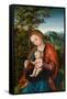 Madonna and Child in a Landscape, c.1518-Lucas, The Elder Cranach-Framed Stretched Canvas