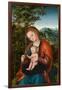 Madonna and Child in a Landscape, c.1518-Lucas, The Elder Cranach-Framed Giclee Print