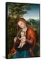 Madonna and Child in a Landscape, c.1518-Lucas, The Elder Cranach-Framed Stretched Canvas