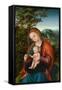 Madonna and Child in a Landscape, c.1518-Lucas, The Elder Cranach-Framed Stretched Canvas