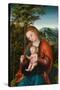 Madonna and Child in a Landscape, c.1518-Lucas, The Elder Cranach-Stretched Canvas