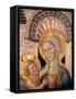 Madonna and Child in Front of a Scallop Niche-Matteo da Gualdo-Framed Stretched Canvas