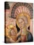 Madonna and Child in Front of a Scallop Niche-Matteo da Gualdo-Stretched Canvas