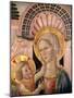 Madonna and Child in Front of a Scallop Niche-Matteo da Gualdo-Mounted Giclee Print