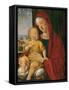 Madonna and Child known as That of the Beautiful Eyes-Alvise Vivarini-Framed Stretched Canvas