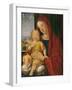Madonna and Child known as That of the Beautiful Eyes-Alvise Vivarini-Framed Giclee Print