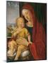 Madonna and Child known as That of the Beautiful Eyes-Alvise Vivarini-Mounted Giclee Print