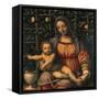 Madonna and Child (Madonna Del Roseto)-Luini Bernardino-Framed Stretched Canvas