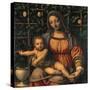 Madonna and Child (Madonna Del Roseto)-Luini Bernardino-Stretched Canvas