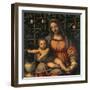Madonna and Child (Madonna Del Roseto)-Luini Bernardino-Framed Giclee Print
