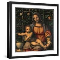 Madonna and Child (Madonna Del Roseto)-Luini Bernardino-Framed Giclee Print