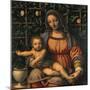 Madonna and Child (Madonna Del Roseto)-Luini Bernardino-Mounted Giclee Print