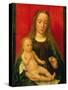 Madonna and Child (Oil on Panel)-Gerard David-Stretched Canvas