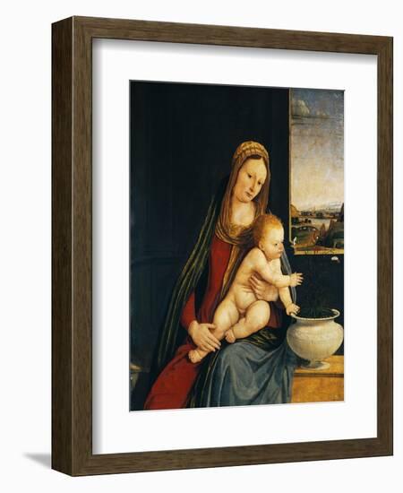 Madonna and Child or Madonna of the Carnations, 1490-1495-Andrea Solario-Framed Giclee Print