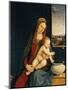 Madonna and Child or Madonna of the Carnations, 1490-1495-Andrea Solario-Mounted Giclee Print