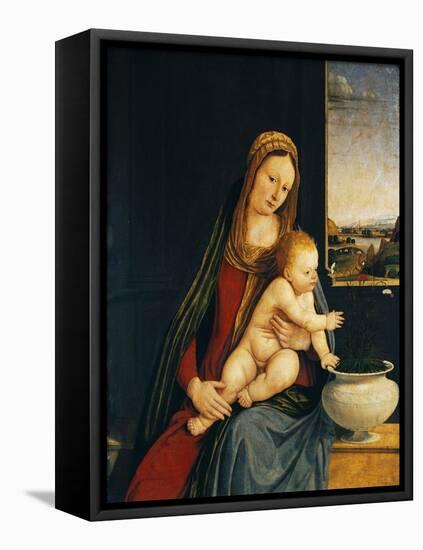 Madonna and Child or Madonna of the Carnations, 1490-1495-Andrea Solario-Framed Stretched Canvas