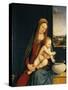 Madonna and Child or Madonna of the Carnations, 1490-1495-Andrea Solario-Stretched Canvas