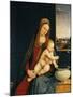 Madonna and Child or Madonna of the Carnations, 1490-1495-Andrea Solario-Mounted Giclee Print