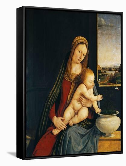 Madonna and Child or Madonna of the Carnations, 1490-1495-Andrea Solario-Framed Stretched Canvas