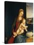 Madonna and Child or Madonna of the Carnations, 1490-1495-Andrea Solario-Stretched Canvas