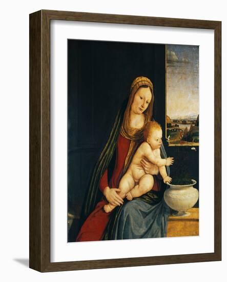 Madonna and Child or Madonna of the Carnations, 1490-1495-Andrea Solario-Framed Giclee Print