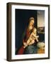 Madonna and Child or Madonna of the Carnations, 1490-1495-Andrea Solario-Framed Giclee Print