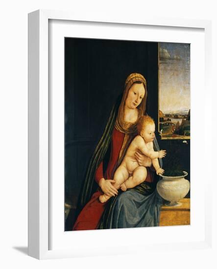 Madonna and Child or Madonna of the Carnations, 1490-1495-Andrea Solario-Framed Giclee Print