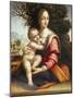 Madonna and Child or Madonna with the Tree-null-Mounted Giclee Print