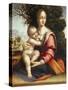 Madonna and Child or Madonna with the Tree-null-Stretched Canvas