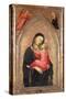 Madonna and Child (Panel)-Niccolo di Pietro Gerini-Stretched Canvas