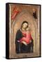 Madonna and Child (Panel)-Niccolo di Pietro Gerini-Framed Stretched Canvas