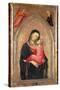 Madonna and Child (Panel)-Niccolo di Pietro Gerini-Stretched Canvas