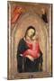Madonna and Child (Panel)-Niccolo di Pietro Gerini-Mounted Giclee Print