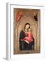 Madonna and Child (Panel)-Niccolo di Pietro Gerini-Framed Giclee Print