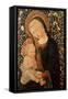 Madonna and Child Seated, Child Holding a Bird-Pier Francesco Fiorentino-Framed Stretched Canvas