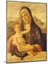 Madonna and Child Seated-Bartolomeo Montagna-Mounted Giclee Print