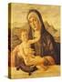 Madonna and Child Seated-Bartolomeo Montagna-Stretched Canvas