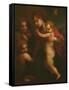 Madonna and Child, St. John and Two Angels-Andrea del Sarto-Framed Stretched Canvas