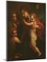 Madonna and Child, St. John and Two Angels-Andrea del Sarto-Mounted Giclee Print