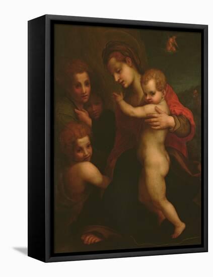 Madonna and Child, St. John and Two Angels-Andrea del Sarto-Framed Stretched Canvas