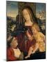 Madonna and Child with a Cardinal as a Benefactor, C.1500-Bernardino di Betto Pinturicchio-Mounted Giclee Print