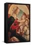 Madonna and Child with an Angel-Sandro Botticelli-Framed Stretched Canvas
