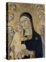 Madonna and Child with Angels and Saints, C.1450-Sano di Pietro-Stretched Canvas