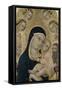 Madonna and Child with Angels and Saints, C.1450-Sano di Pietro-Framed Stretched Canvas