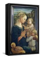 Madonna and Child with Angels, c.1455-Fra Filippo Lippi-Framed Stretched Canvas