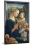 Madonna and Child with Angels, c.1455-Fra Filippo Lippi-Mounted Giclee Print