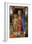 Madonna and Child with Angels, c.1480-2-Cosimo Rosselli-Framed Giclee Print