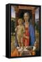 Madonna and Child with Angels, c.1480-2-Cosimo Rosselli-Framed Stretched Canvas