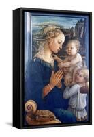 Madonna and Child with Angels, C1455-Filippino Lippi-Framed Stretched Canvas